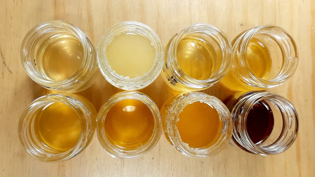 Cata de mieles - con5colmenas Campillo de Ranas