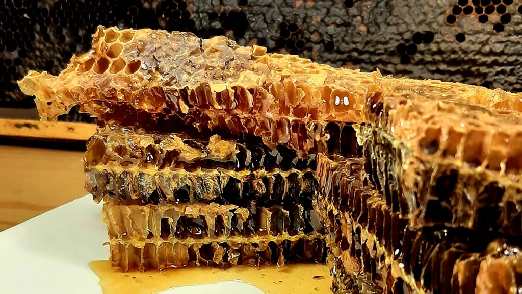 Celdillas con miel - con5colmenas