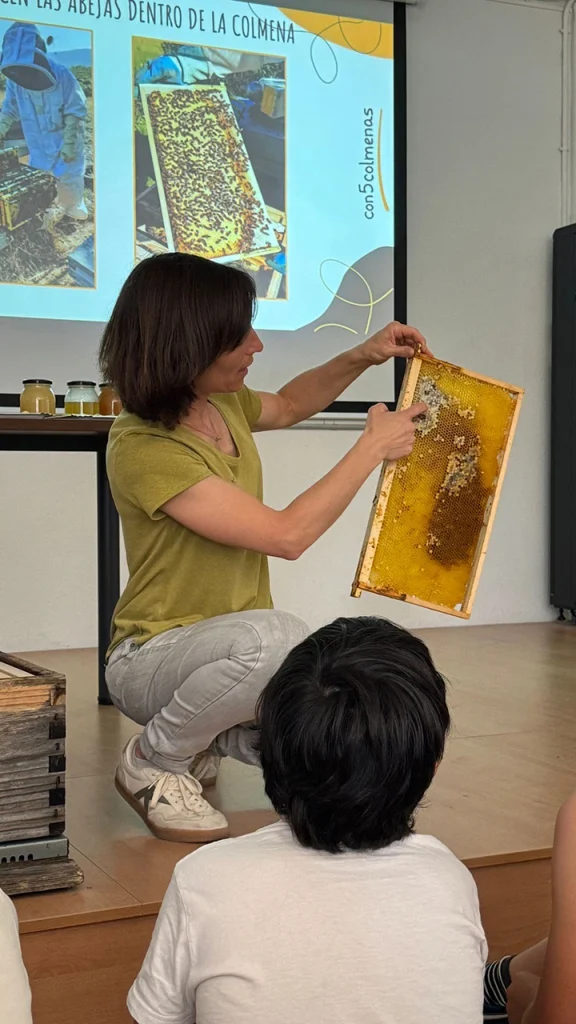 Historias de abejas - con5colmenas