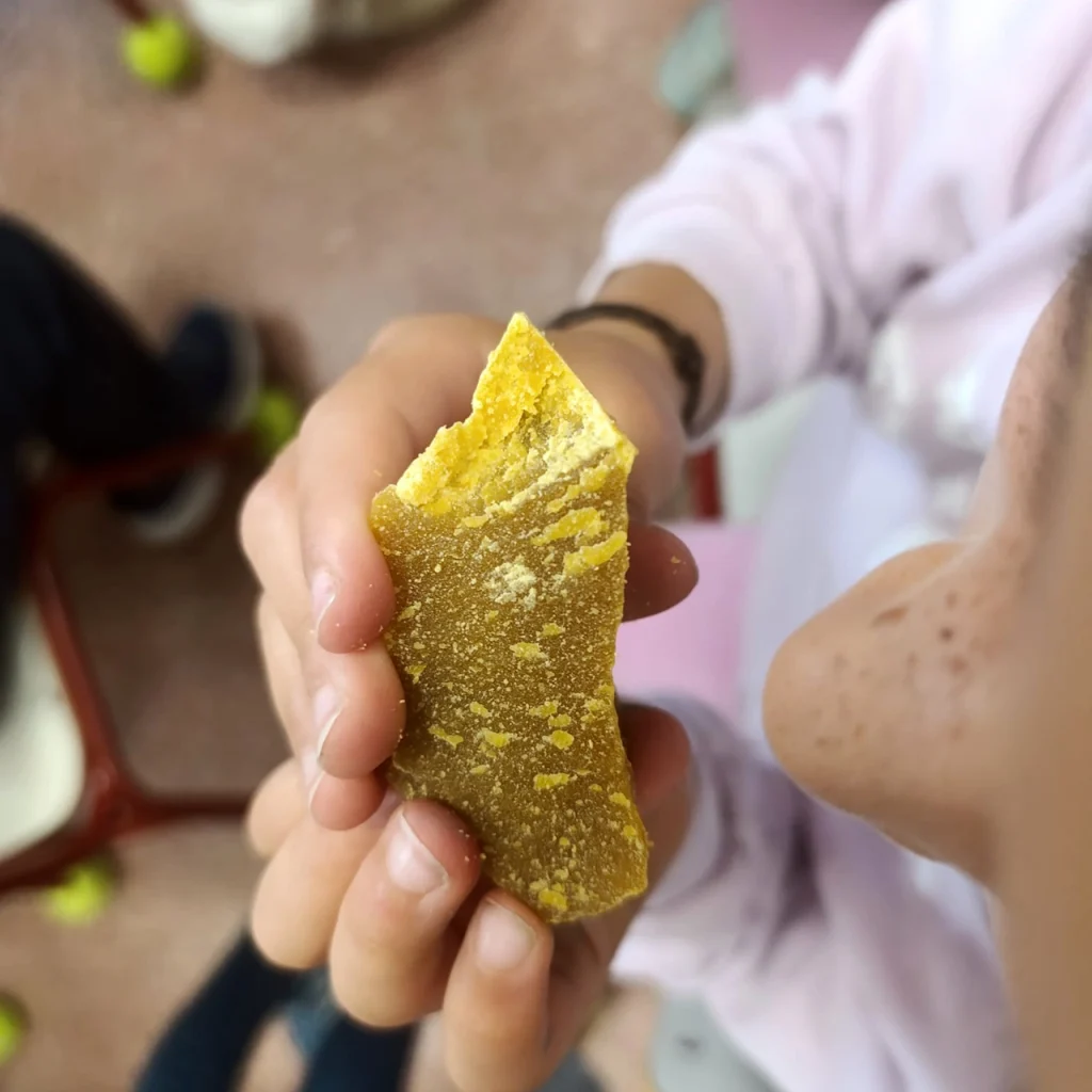 oliendo cera abeja - con5colmenas