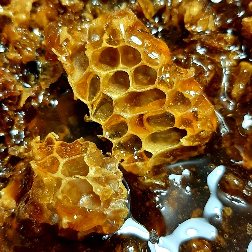 Panal miel de abeja Guadalajara
