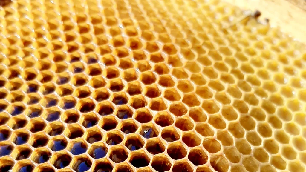 Talleres artesanales con productos de la colmena - con5colmenas