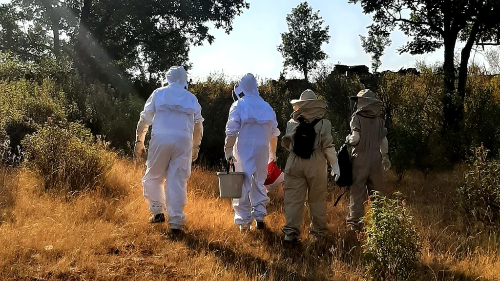 Talleres de abejas en Campillo de Ranas - Guadalajara
